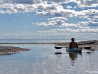 52137CrLeEx - Kayaking Cranberry Marsh with Beth.jpg
